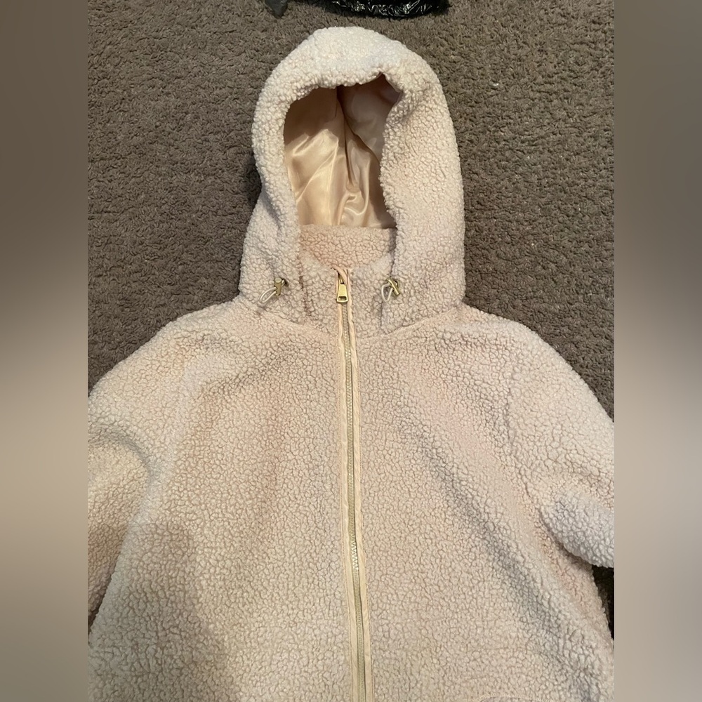 Coat - Picture 3 of 5